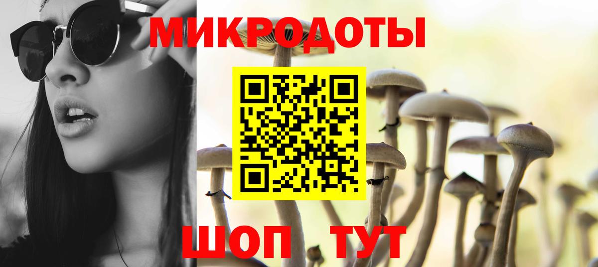 Галлюциногенные грибы GOLDEN TEACHER Владимир