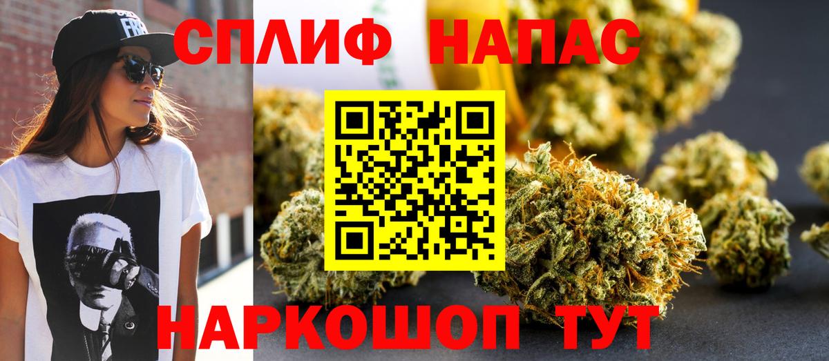 Конопля конопля  Каннабис гибрид  Владимир  Шишки марихуана план  Вход с VPN 